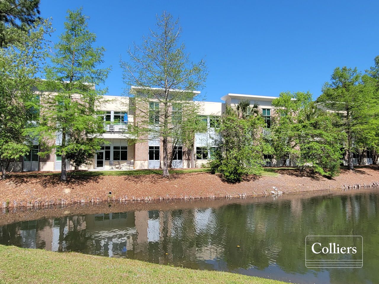 421 Wando Park Boulevard Photo 10