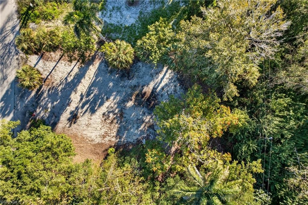 2596 Holly Ave, Naples, FL 34112 Photo