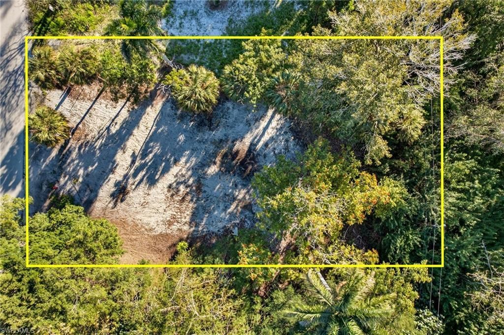 2596 Holly Ave, Naples, FL 34112 Photo