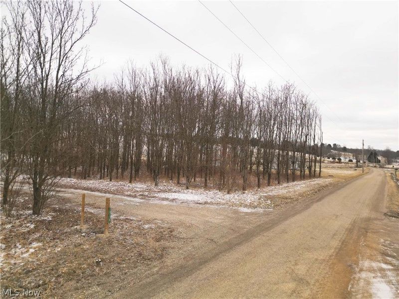 10170 N Morrison Road, Dresden, OH 43821 Photo 10