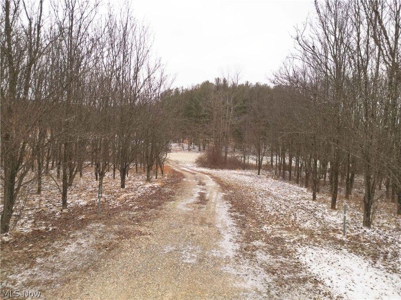 10170 N Morrison Road, Dresden, OH 43821 Photo 11