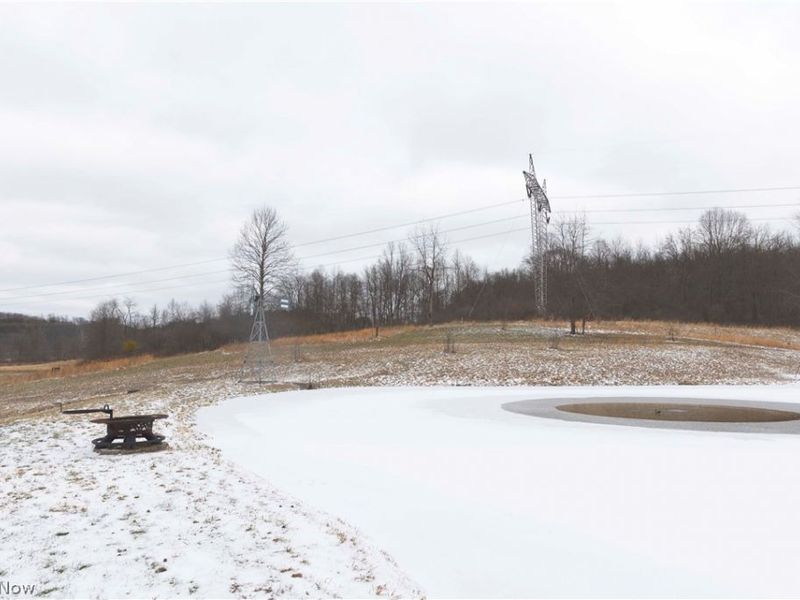 10170 N Morrison Road, Dresden, OH 43821 Photo 15