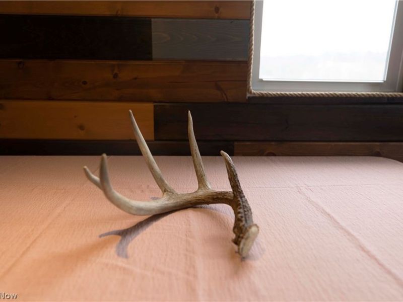 10170 N Morrison Road, Dresden, OH 43821 Photo 23