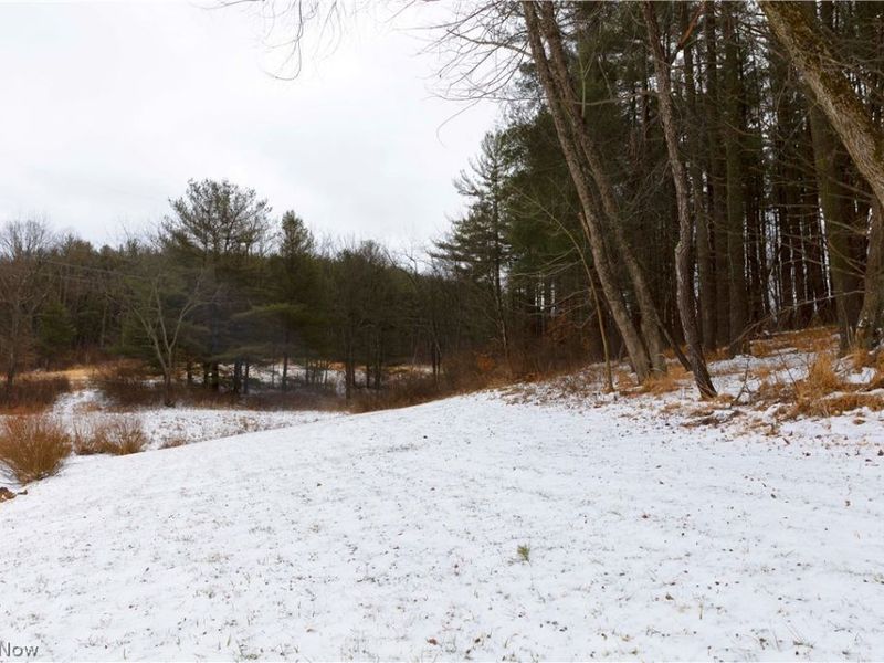 10170 N Morrison Road, Dresden, OH 43821 Photo 24