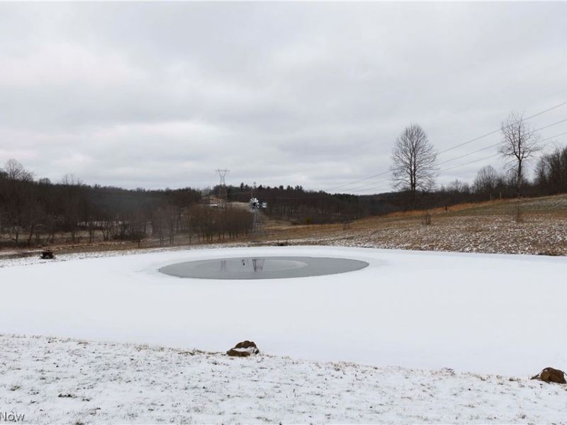 10170 N Morrison Road, Dresden, OH 43821 Photo 25