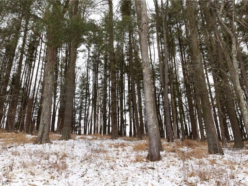 10170 N Morrison Road, Dresden, OH 43821 Photo 27