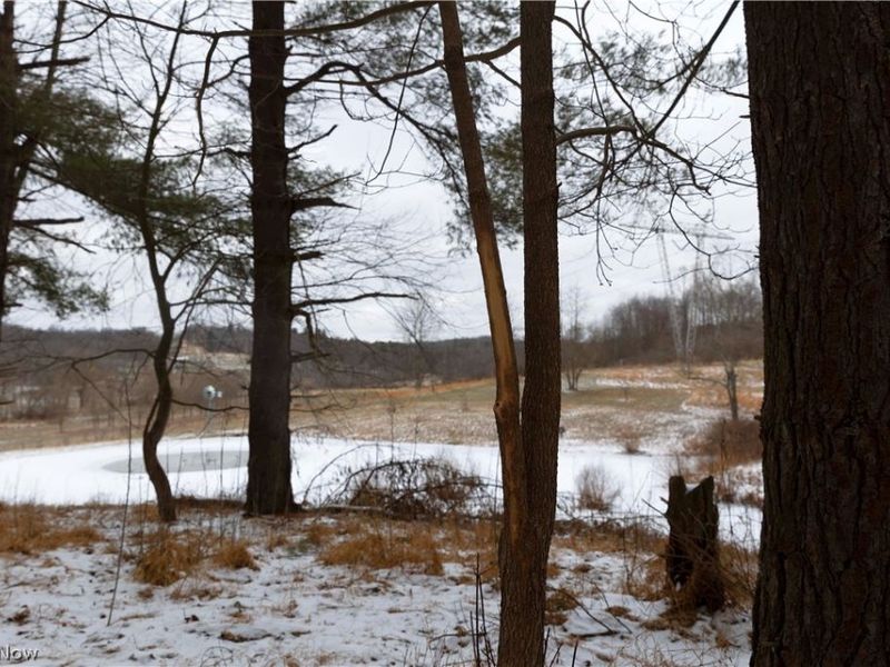 10170 N Morrison Road, Dresden, OH 43821 Photo 29