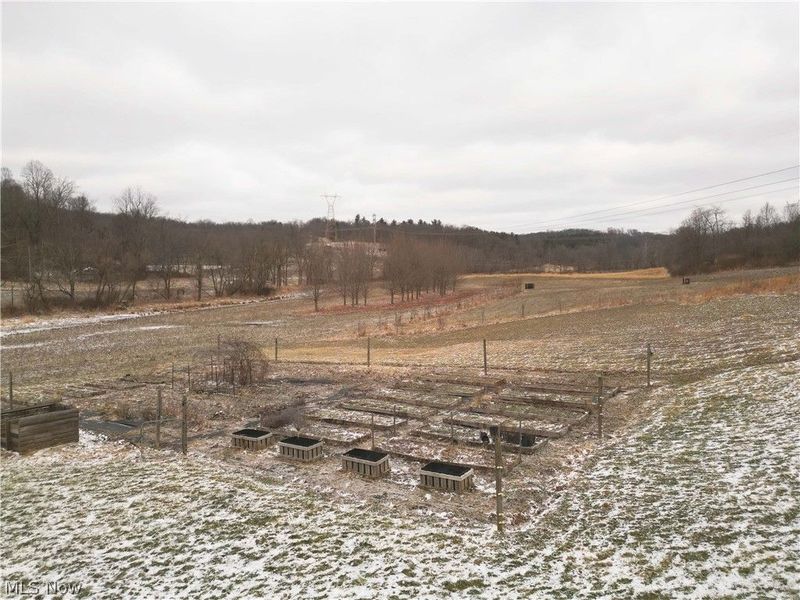 10170 N Morrison Road, Dresden, OH 43821 Photo 3