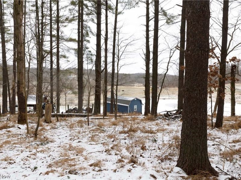 10170 N Morrison Road, Dresden, OH 43821 Photo 31