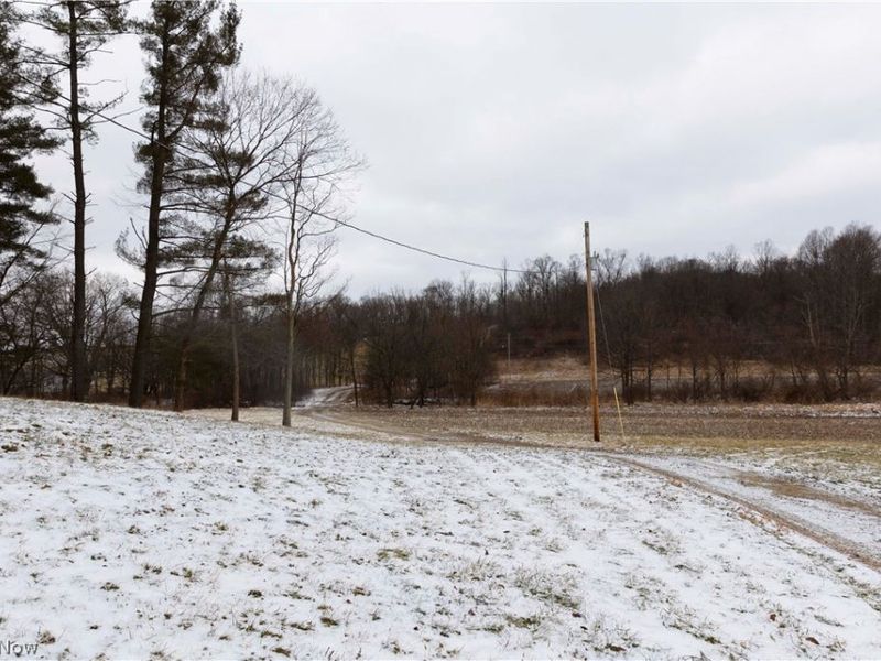 10170 N Morrison Road, Dresden, OH 43821 Photo 34