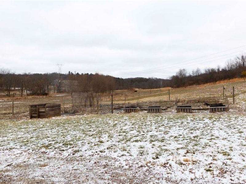 10170 N Morrison Road, Dresden, OH 43821 Photo 35