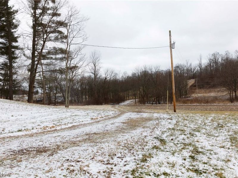 10170 N Morrison Road, Dresden, OH 43821 Photo 36