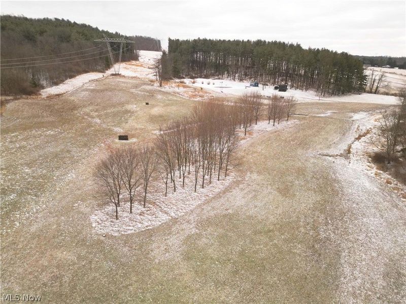 10170 N Morrison Road, Dresden, OH 43821 Photo 5