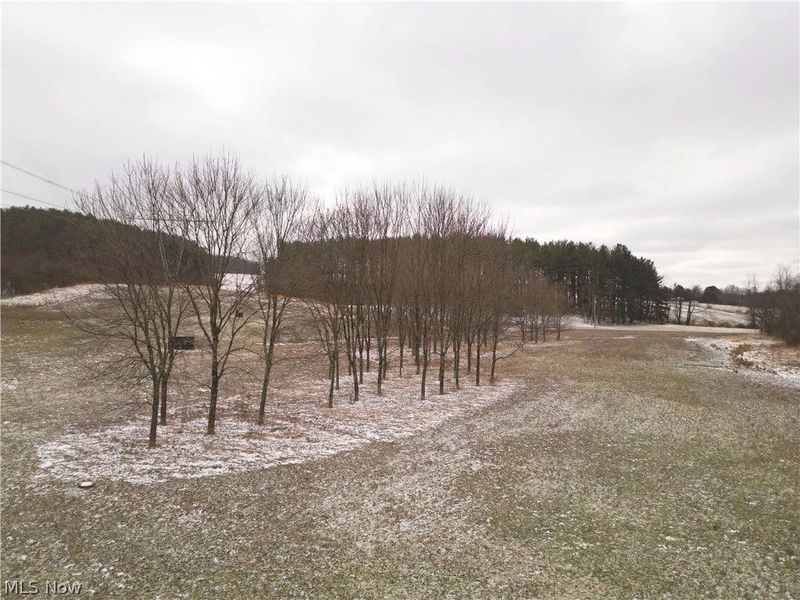 10170 N Morrison Road, Dresden, OH 43821 Photo 6