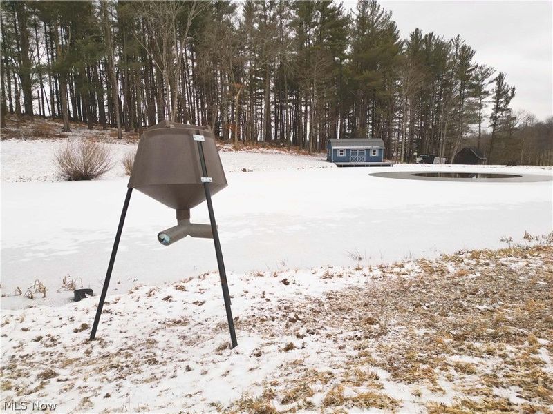 10170 N Morrison Road, Dresden, OH 43821 Photo 8