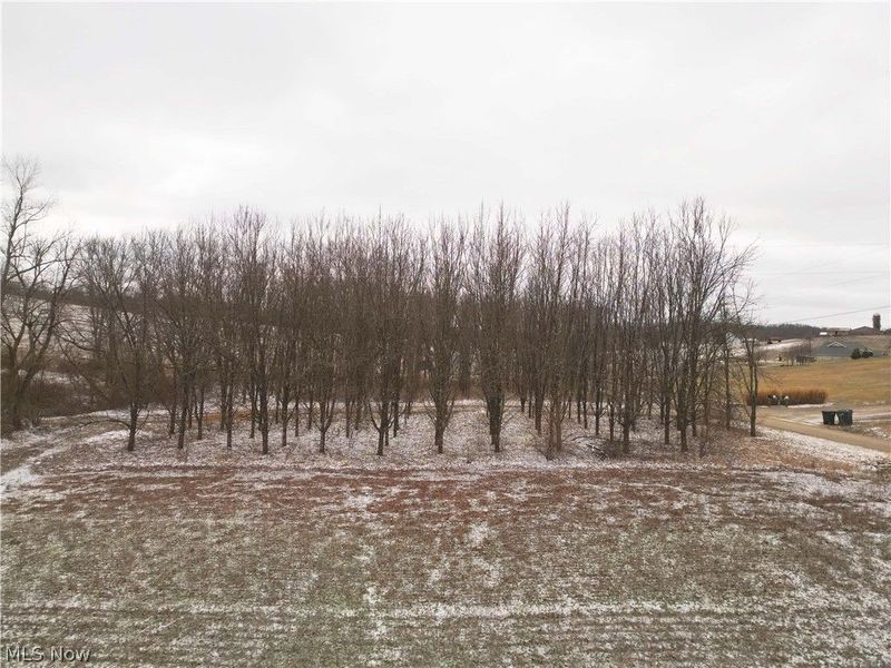 10170 N Morrison Road, Dresden, OH 43821 Photo 9