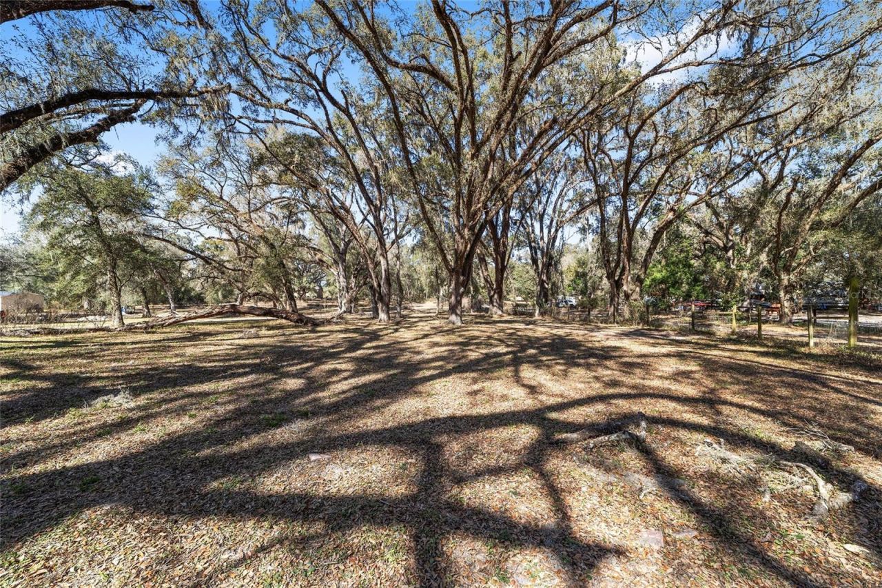 13140 S Thexa Terrace, Floral City, FL 34436 Photo