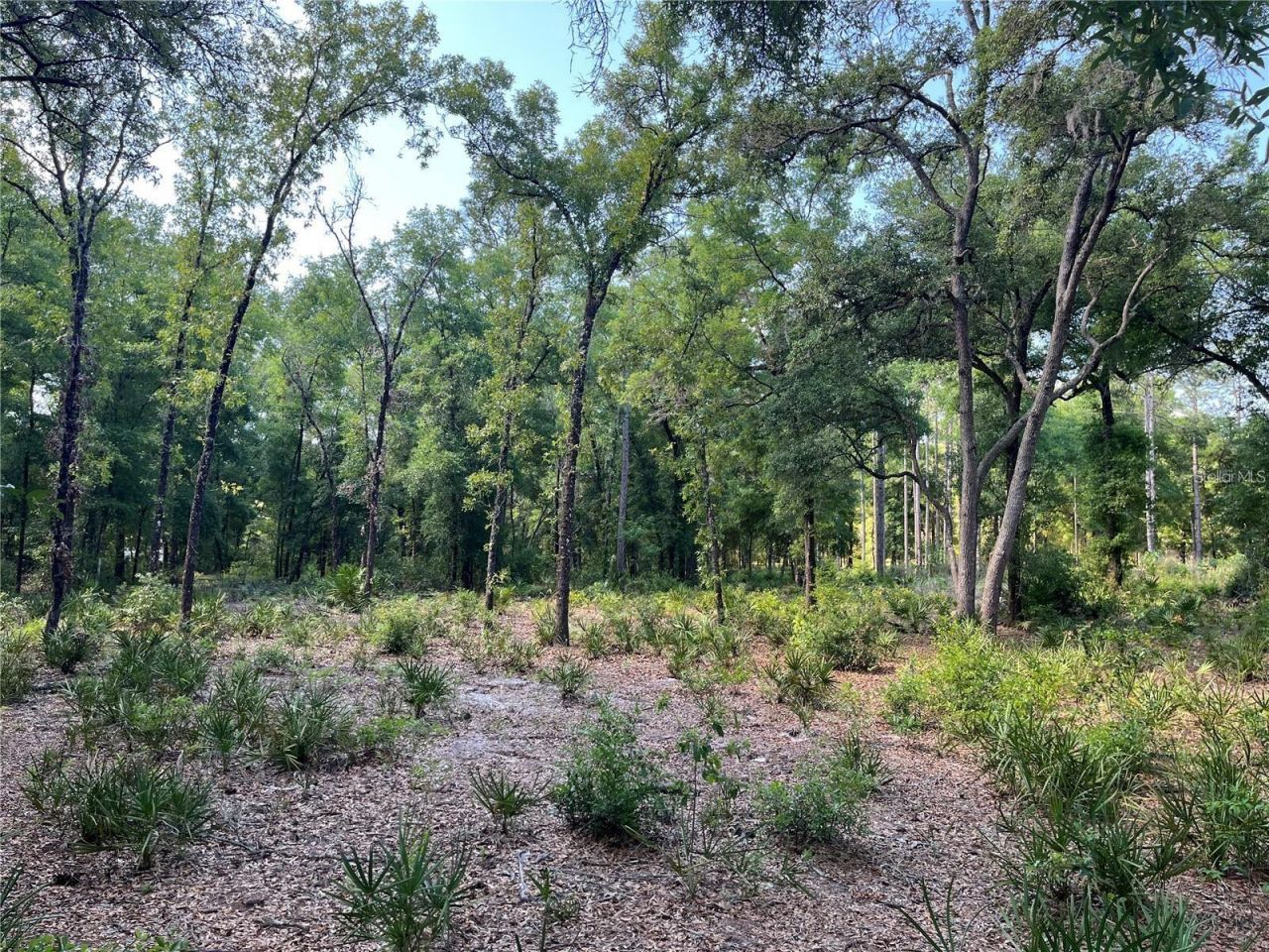 Sw 151st Place, Dunnellon, FL 34432 Main Photo