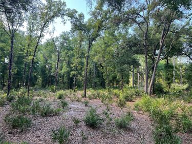 SW 151ST PLACE, DUNNELLON, FL 34432