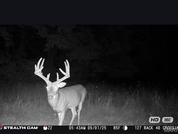 67 +/- Ac Circle Acres Drive , Marthasville, MO 63357