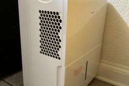 1207 S Ocean Blvd.  photo 4