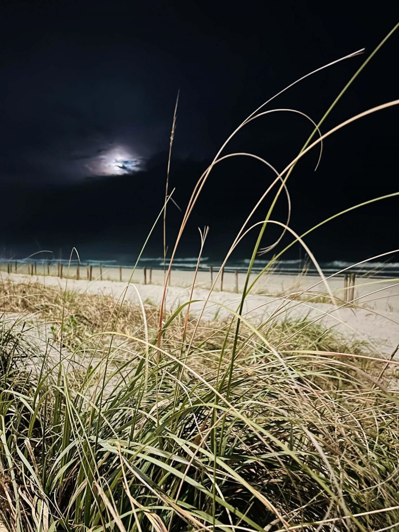 1207 S Ocean Blvd.  Photo 9