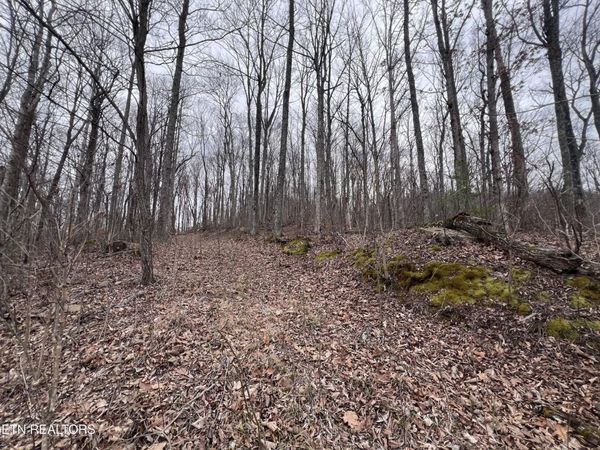 0 Lot 62 Apache Rd, Jamestown, TN 38556