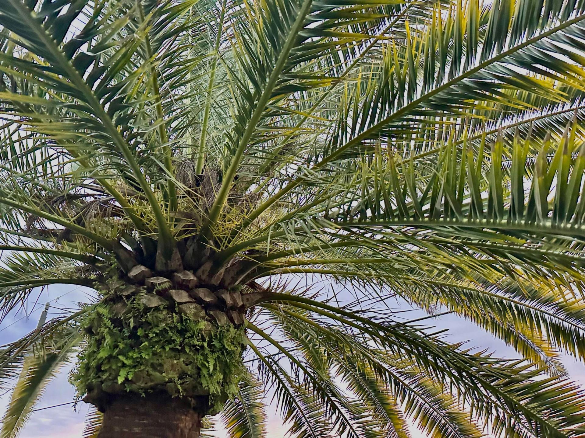 743 SW Mccoy Avenue, Port Saint Lucie, FL 34953 Photo