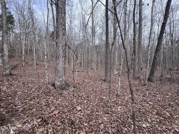 Buffalo Cove Lane, Jamestown, TN 38556