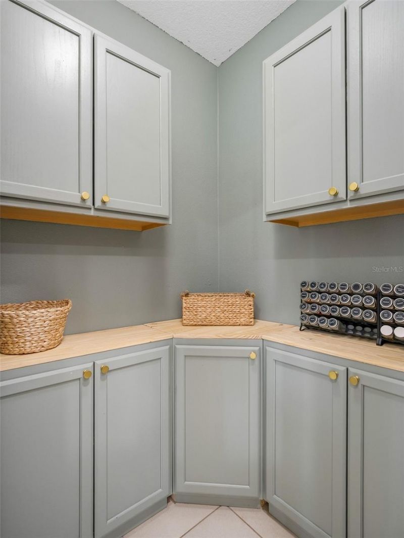 459 Pink Coral Lane, New Smyrna Beach, FL 32168 Photo