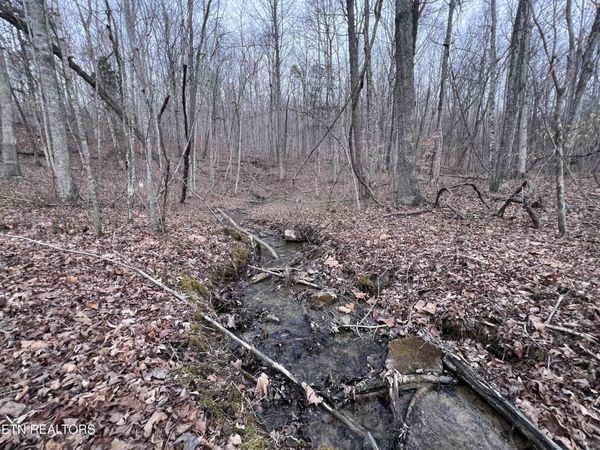 0 Buffalo Cove Lane , Jamestown, TN 38556