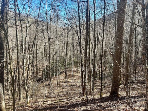 0 Deep Gap View , Whittier, NC 28789