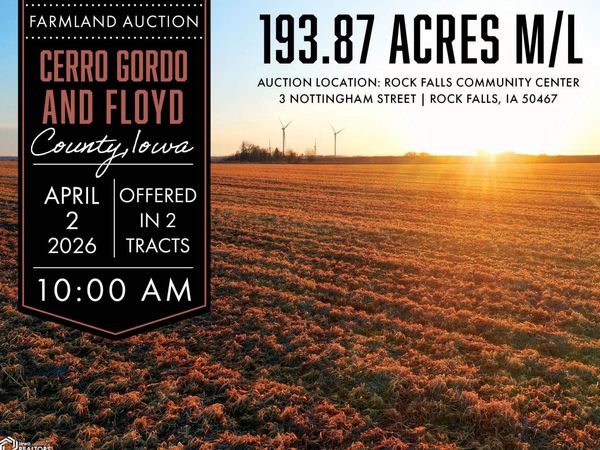 Vine Avenue, Mason City, IA 50401