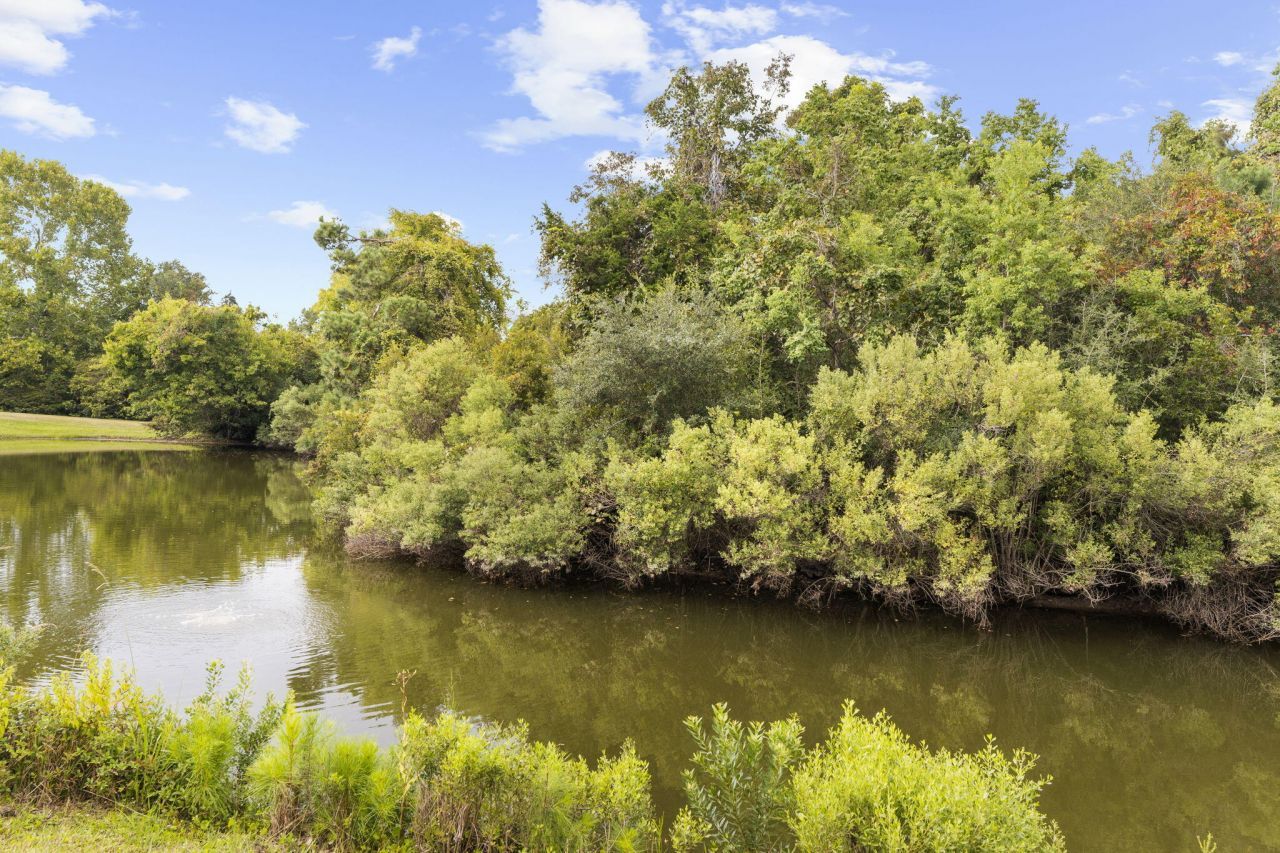 1604 Hopeman Lane Photo 62