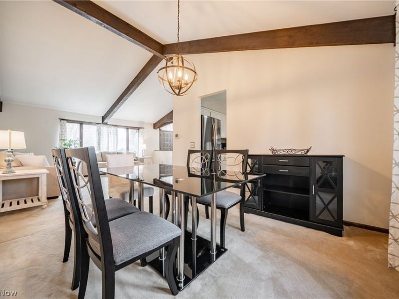 1205 Tulip Court, Brunswick, OH 44212 Photo 5