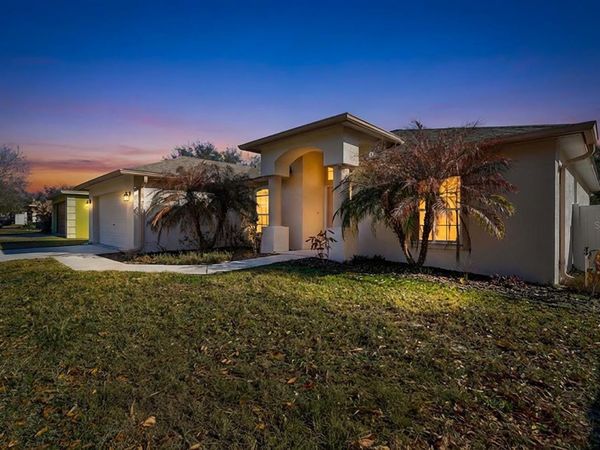 317 CARRIAGE CROSSING CIRCLE, BRANDON, FL 33510