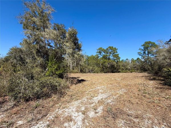 LOT 11 POINCIANA STREET , EUSTIS, FL 32736
