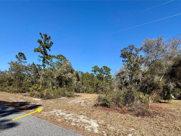 LOT 11 POINCIANA STREET , EUSTIS, FL 32736