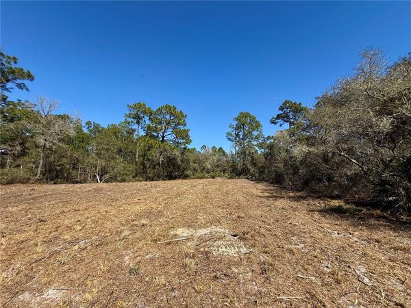 LOT 11 POINCIANA STREET , EUSTIS, FL 32736