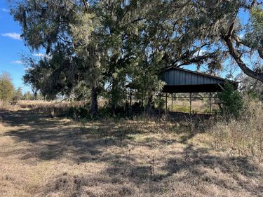 2351 NE HIGHWAY 41 , WILLISTON, FL 32696