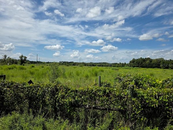 2351 NE HIGHWAY 41, WILLISTON, FL 32696