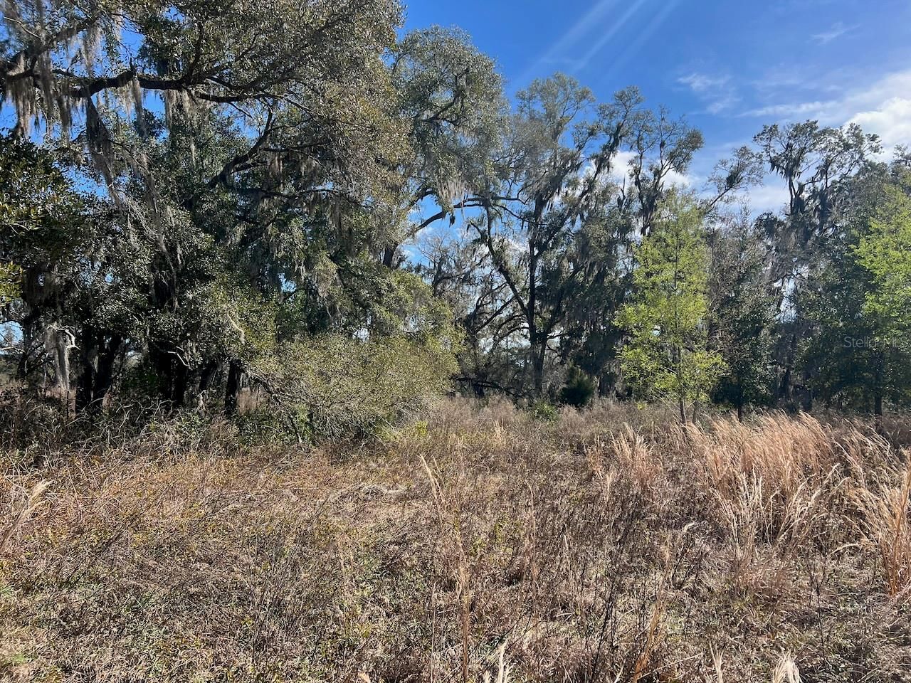 2351 NE Highway 41 , Williston, FL 32696 Photo