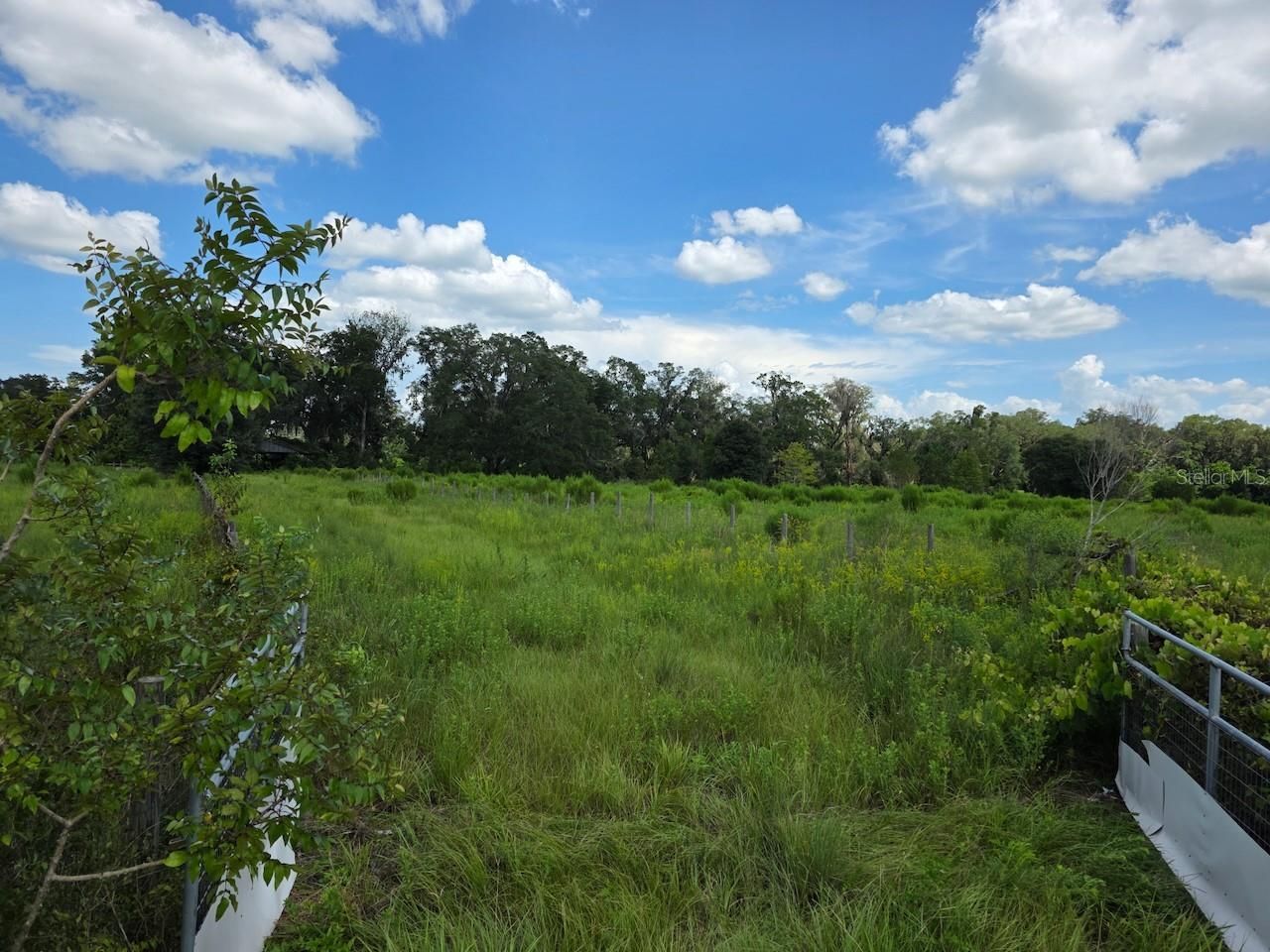 2351 NE Highway 41, Williston, FL 32696 Photo