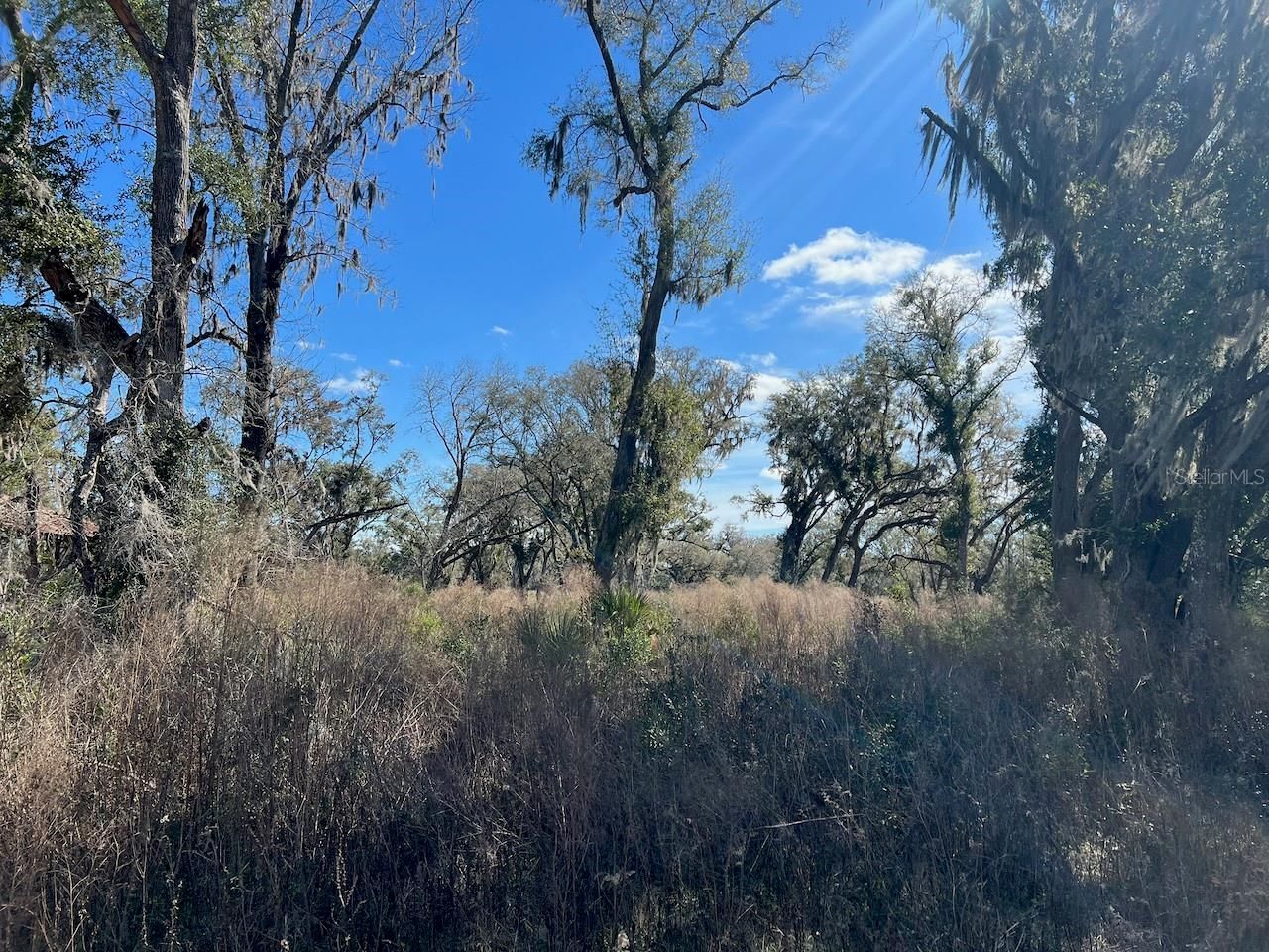 2351 NE Highway 41 , Williston, FL 32696 Photo