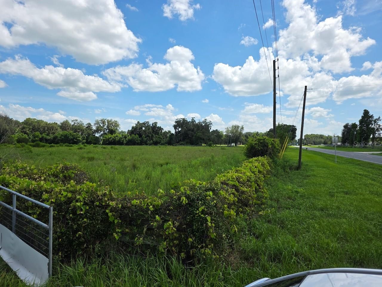 2351 NE Highway 41, Williston, FL 32696 Photo