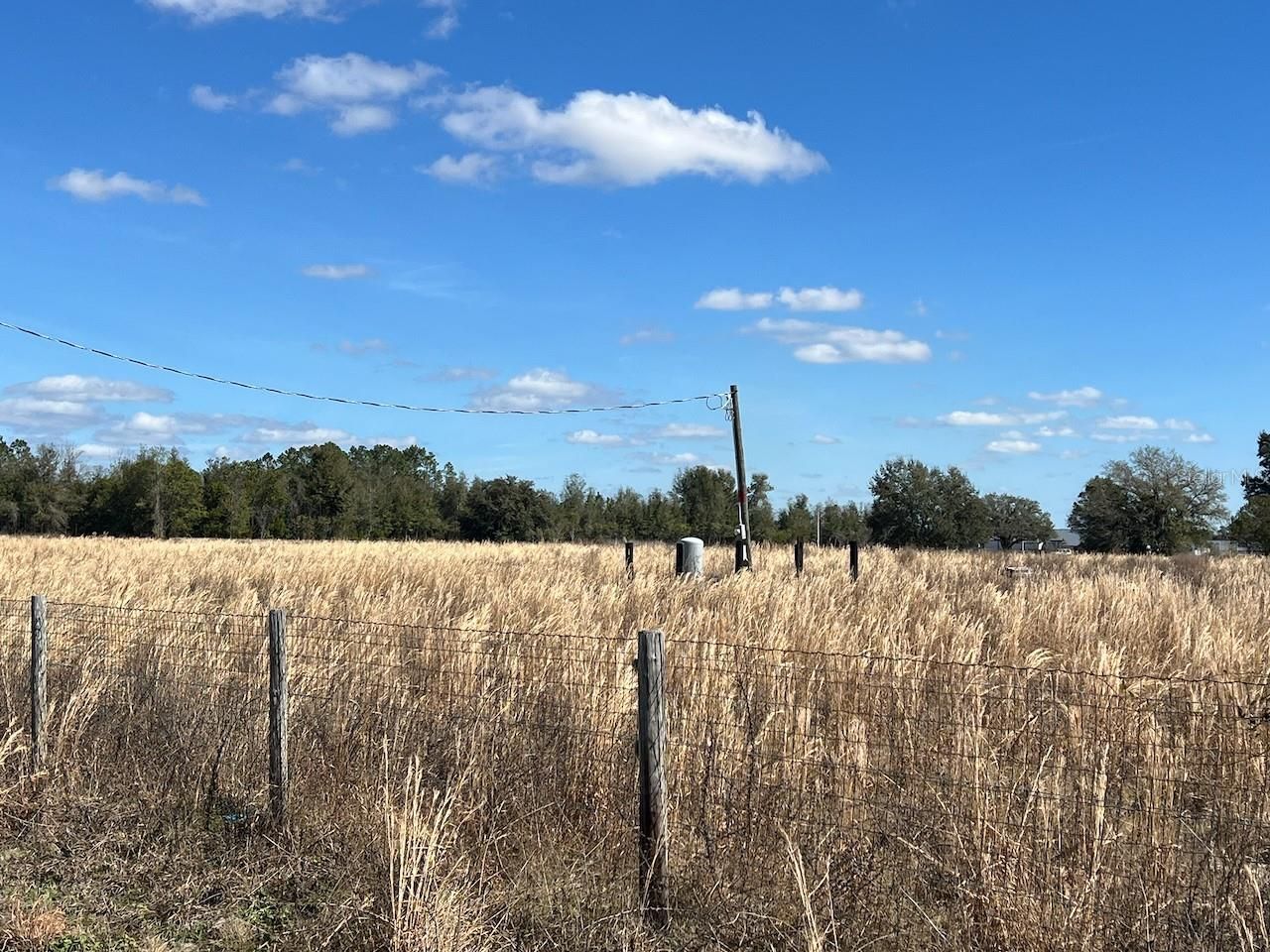 2351 NE Highway 41 , Williston, FL 32696 Photo