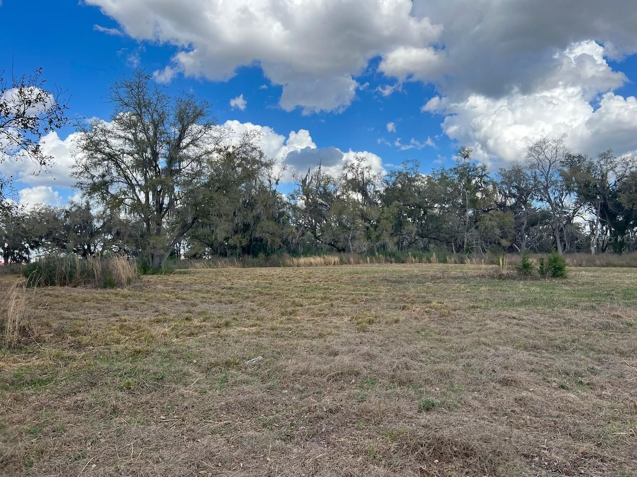 2351 NE Highway 41 , Williston, FL 32696 Photo