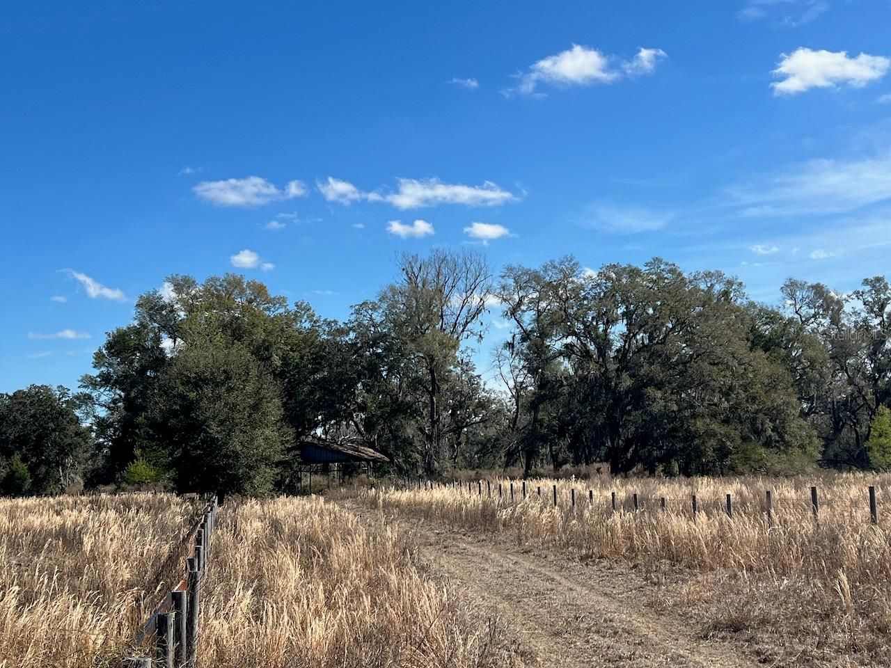 2351 NE Highway 41 , Williston, FL 32696 Photo