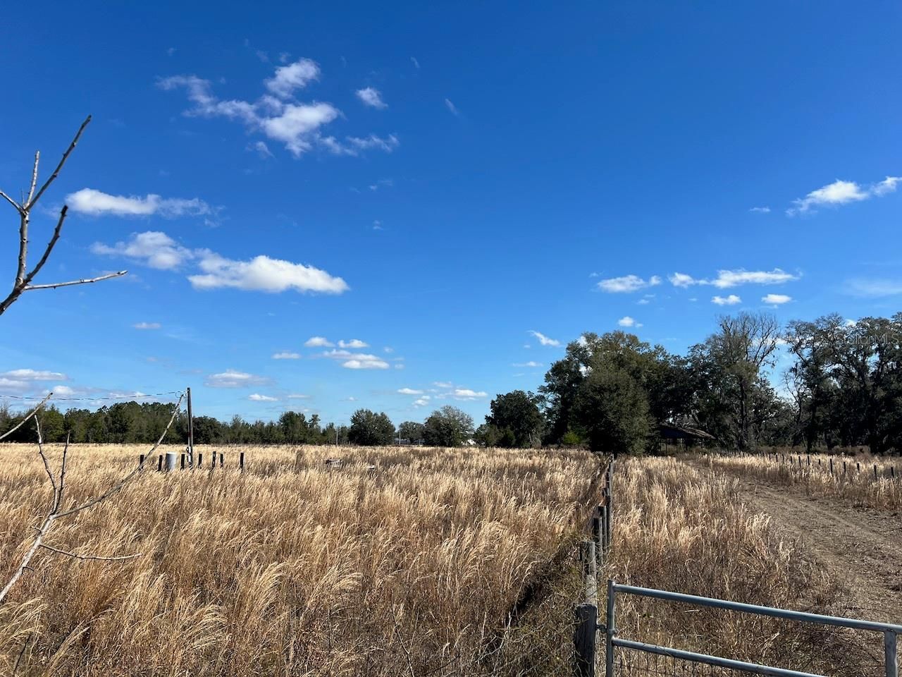 2351 NE Highway 41 , Williston, FL 32696 Photo