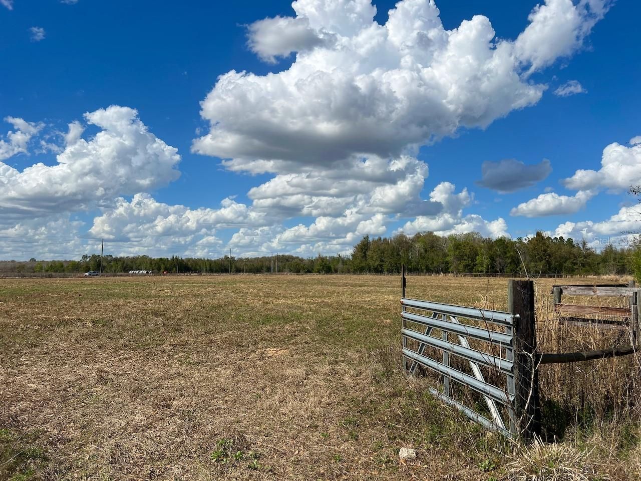 2351 NE Highway 41 , Williston, FL 32696 Photo